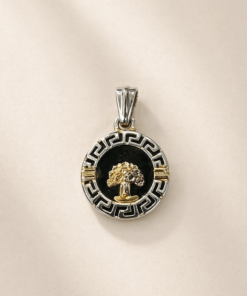 Dije en plata 925 y double de oro con fondo resina negra árbol de la vida