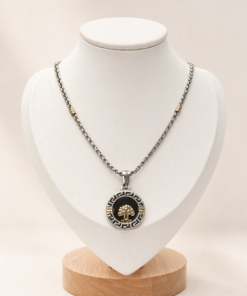 Conjunto en plata con cadena y dije circular Árbol de la Vida, con detalles en double de oro y fondo de resina negra.