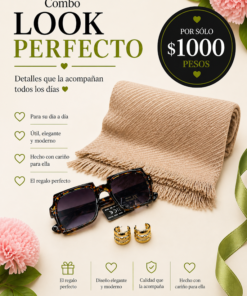 Combo calor perfecto, pashmina, lentes de sol y aros acero dorado